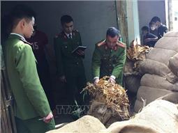 Thu giữ hơn 41 tấn thuốc lá nguyên liệu nhập lậu